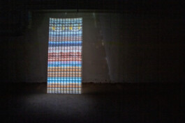  roman roth work