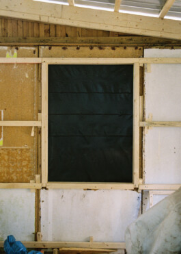  roman roth work
