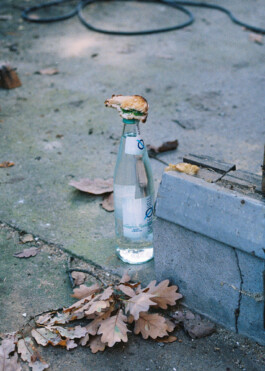  roman roth work