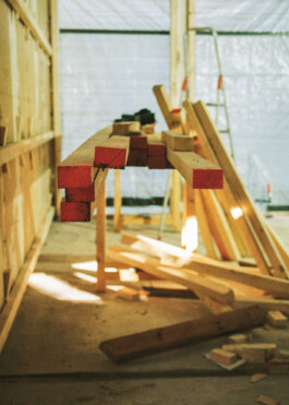  roman roth work