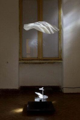  roman roth work