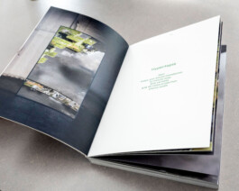  roman roth work