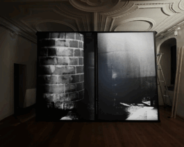  roman roth work